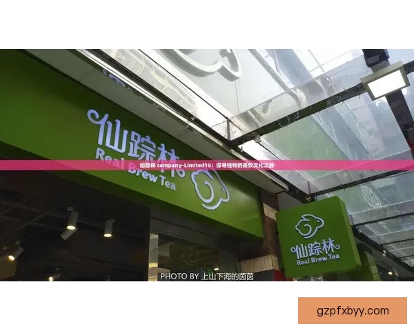 仙踪林网站免费入口欢迎您打造优质体验开启精彩探索之旅全新世界